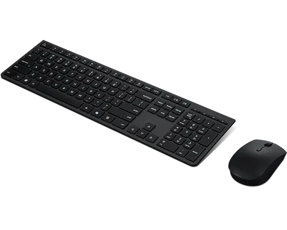 Lenovo Professional Wireless Keyboard and Mouse